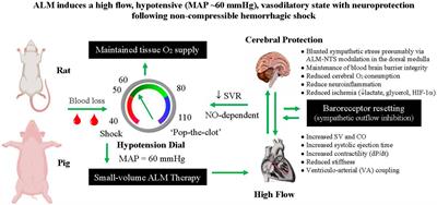 Adenosine, lidocaine and Mg2+ update: teaching old drugs new tricks